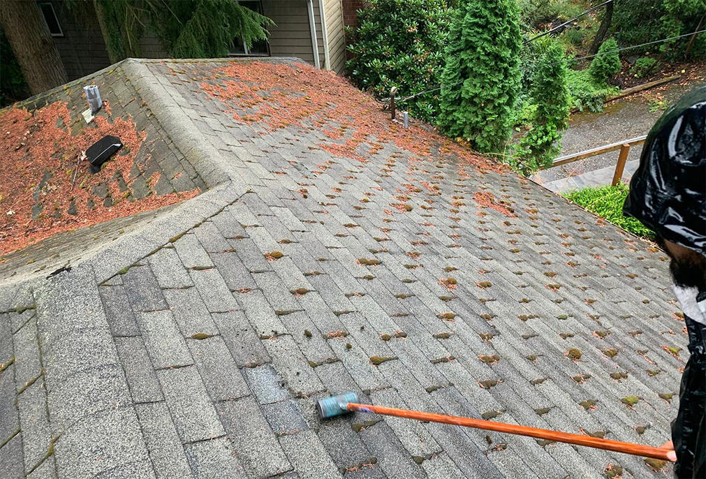 Gutter and Roof Cleaning